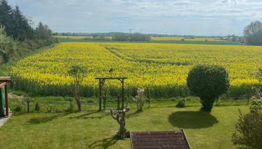 Schöner Blick - Foto 4, Garden