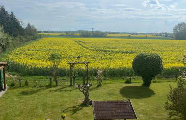 Schöner Blick - Photo 4