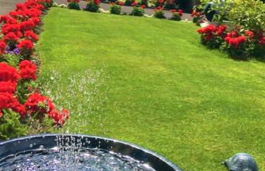 Woodlands Holiday Apartments - Foto 65