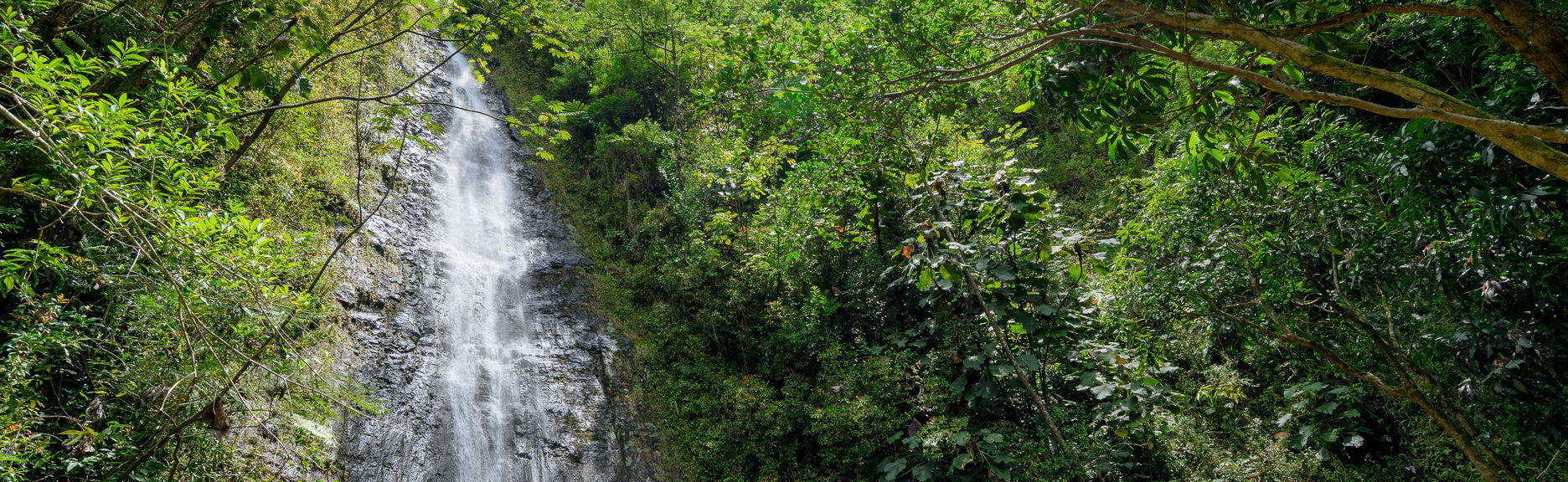 Escursione alla cascata di Manoa