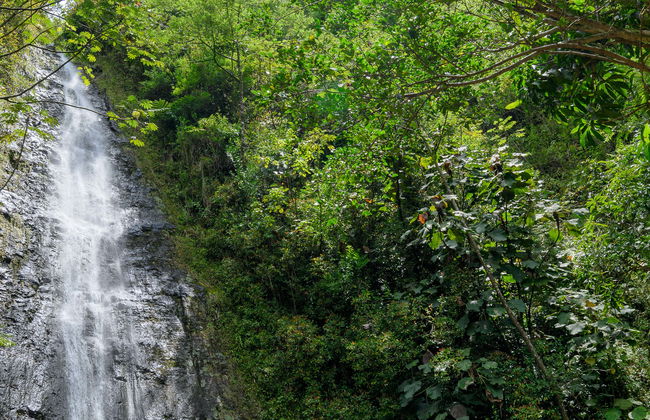 Escursione alla cascata di Manoa - Foto 1
