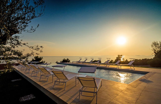 Golden Ray - Foto 22