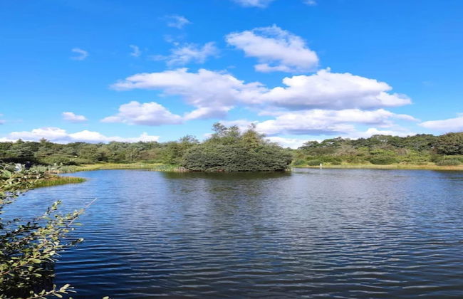 4 Person Holiday Home in Toftlund - Foto 25