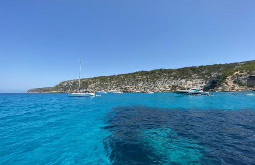 Apartments Campanitx - Astbury Formentera - Photo 16