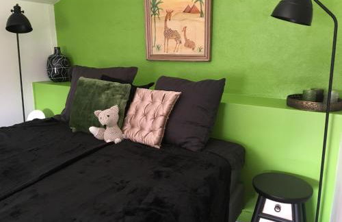 Domaine du Cammazet - Foto 12