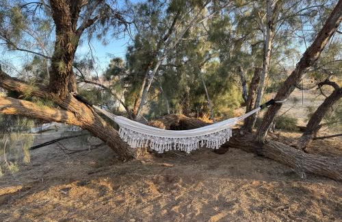 Casa Agave: Comfy Joshua Tree Cottage With Free Breakfast Bar - Foto 20