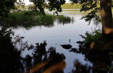 Słoneczny Dom - Foto 47