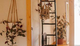 Herdade da Maceira - Foto 5