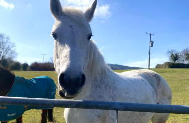 Wee Silverburn - Photo 39