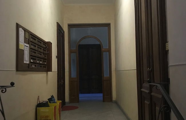 Mono Bordeaux - Foto 7