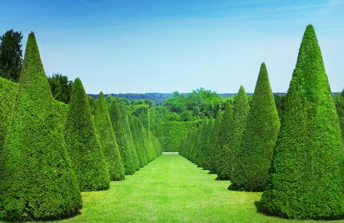 Les Petits Apparts Versailles - Foto 30