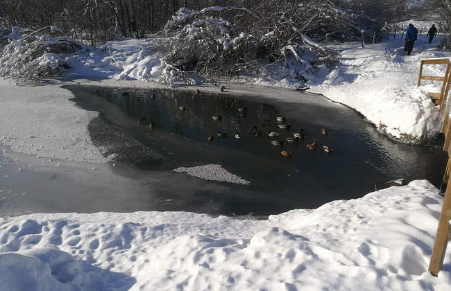 7 Person Holiday Home in Borlange-by Traum - Foto 13