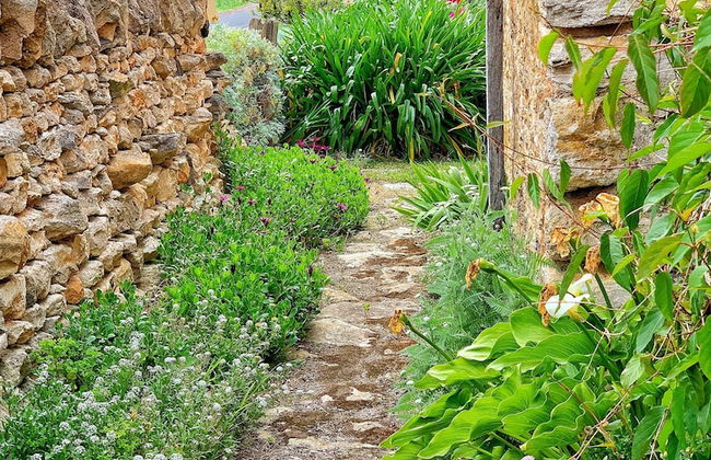 Cherry Plum Cottages - Foto 44