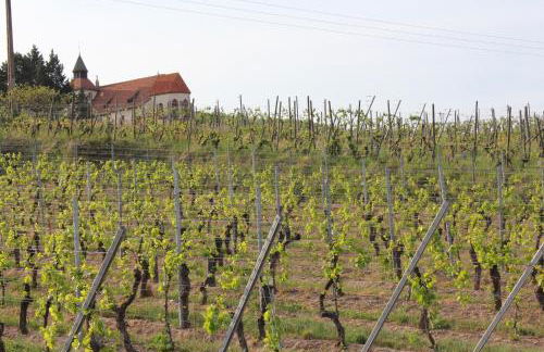 Gîte de l'ours grognon - Foto 26