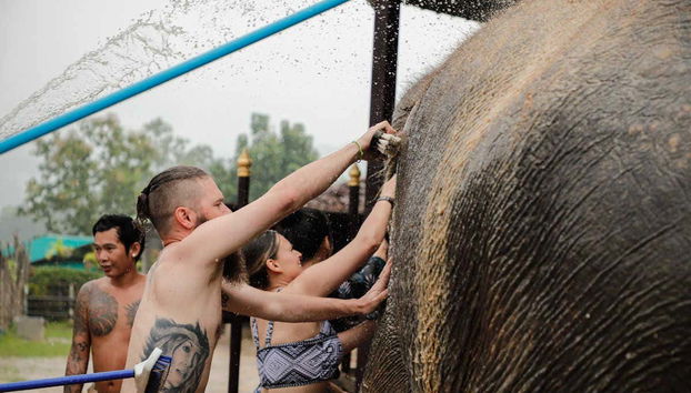 Dando banho nos elefantes do santuário