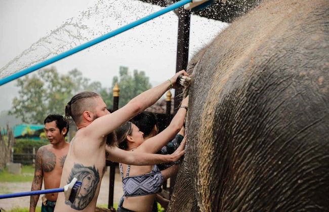 Excursão ao santuário de elefantes de Samui - Foto 3