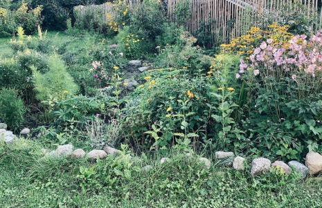 Urlaubsidylle Friedrichswalde - Foto 36