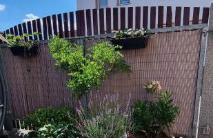 Grahl´s Ferienwohnung - Foto 40