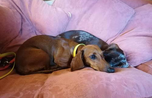 Scorrabrae Orphir Mainland Orkney South Shore Retreat - Photo 29