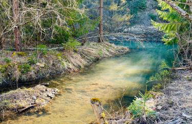 Apartament Primula 1 - Photo 20