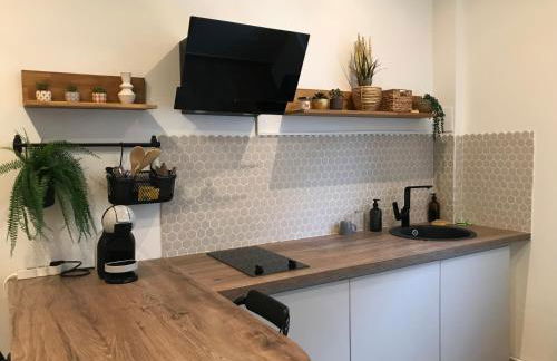 Bel appartement rdc détente Balnéo & Ciné & Terrasse proche Centre Gare Amiens - Foto 14