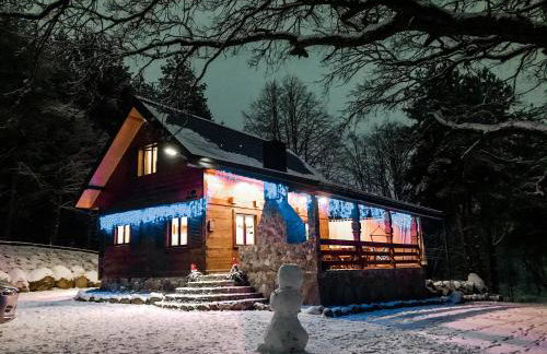 DOMEK POD DĘBEM - Foto 41