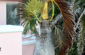 Family retreat at the beach - direct oceanfront! - Foto 22