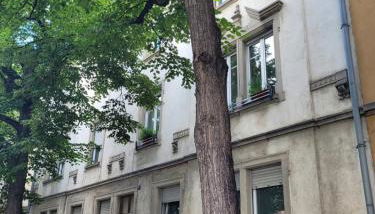 Chez Diane Colmar - Foto 2