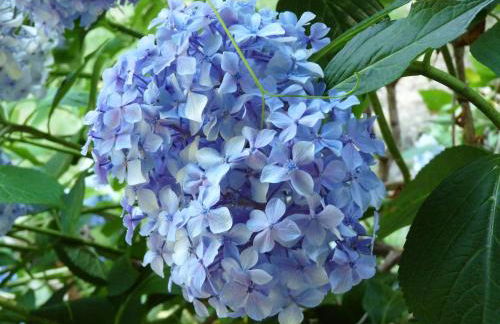 Los Prejones - Photo 33