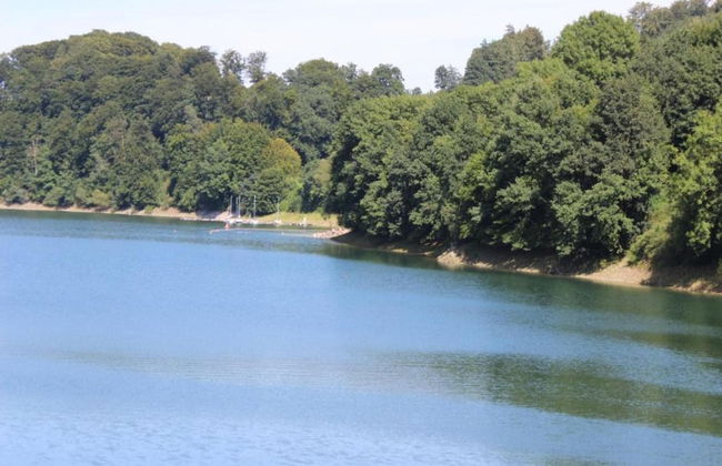 Apartment on the Edge of the Forest - Foto 38