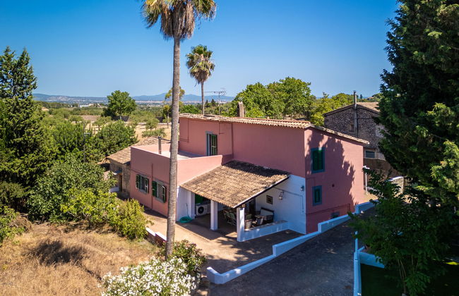 Es Muntant - Foto 38