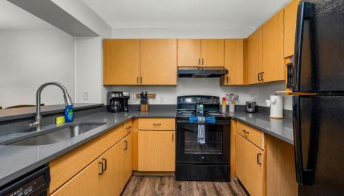 2 MI to USF Pet Friendly & Budget Friendly - Foto 2