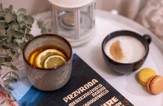 Villa Kasztelan Apartamenty - Foto 1