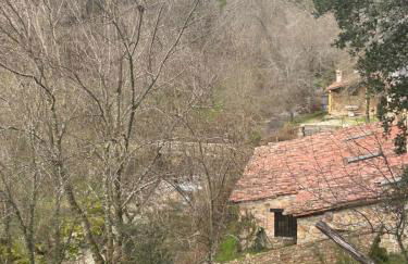 Antiguo Molino con piscina y chimenea en el valle del Tietar - Foto 6