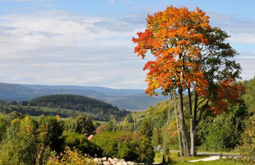 Dom Jesionów - Foto 37