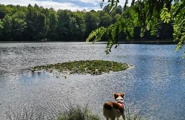 Haus am Rösberg - Foto 18