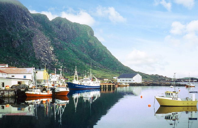 4 Person Holiday Home in Alsvag - Photo 21