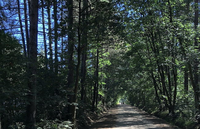 Spacious 6-person Chalet in Antwerp - Foto 22