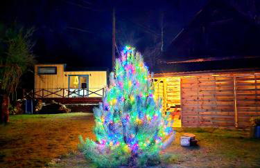 Jurajska Sielanka - domek nad rzeczką - Foto 2