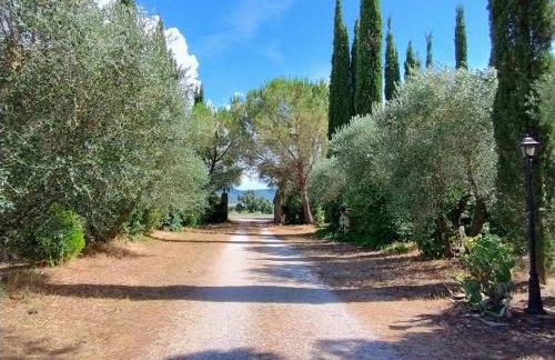 Agriturismo Il Riccio - Foto 7