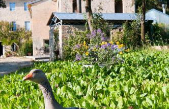 Casadesergio - Photo 14