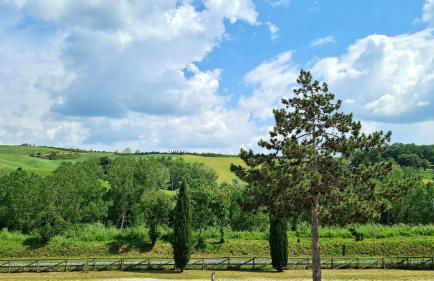 VAL D'ORCIA DELUXE 3 incantevole casa con vista sulle colline, WiFi e parcheggio - Foto 25