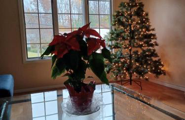 Cozy 4BR 3BA Home- Train to NYC, USOpen, CitiField Mets, MSG, Walk to Harbor & Golf - Photo 36