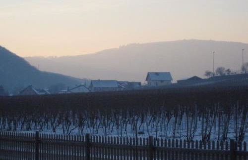 Landhaus Moselschön - Foto 12