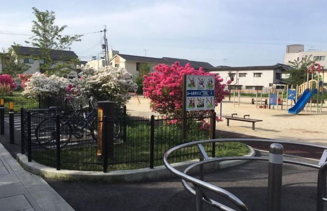 KASUMI-an 4 - Foto 27