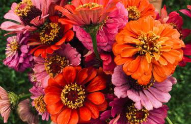 Domek na wsi kieleckiej - Foto 20