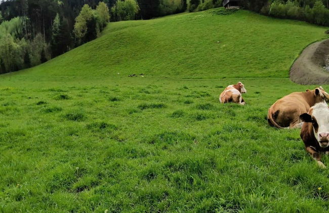 Apartment in Zillertal Near Spieljochbahn - Foto 31