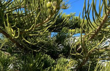 Sunny Apartment - Foto 23