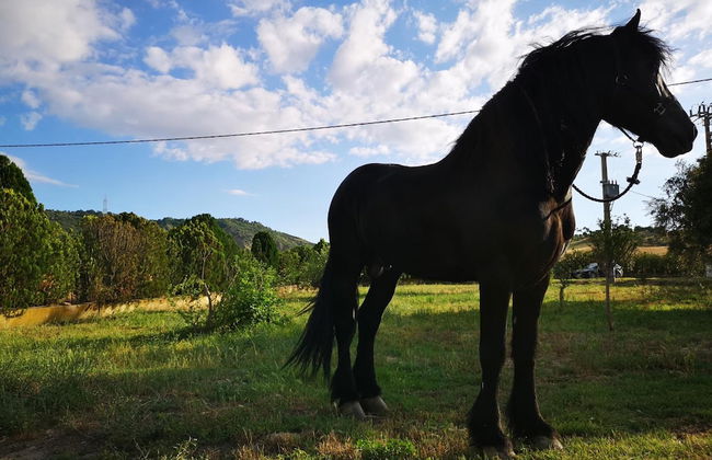 Agriturismo Fontana la Pietra - Foto 45
