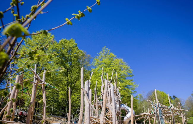 Familienurlaub im Bayerischen Wald - Foto 15